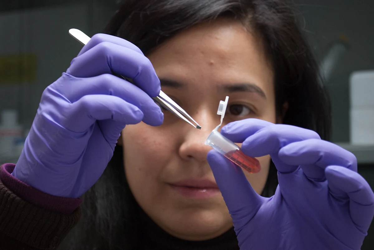 Priscila Monteiro Kosaka trabaja con una muestra y un sensor en el laboratorio